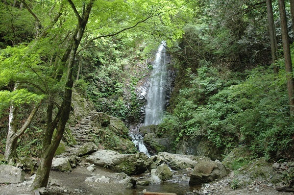 払沢の滝——日本の滝100選に選ばれた秋川渓谷最大の名瀑